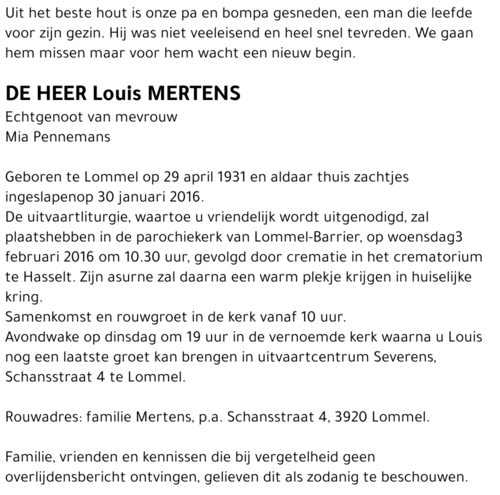 Louis Mertens