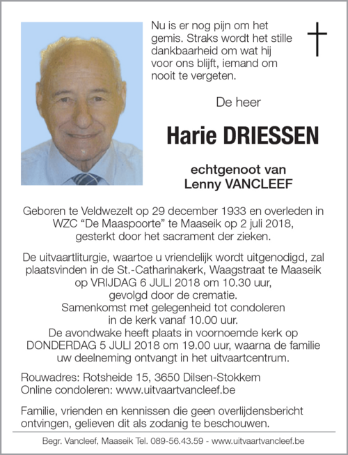Harie Driessen