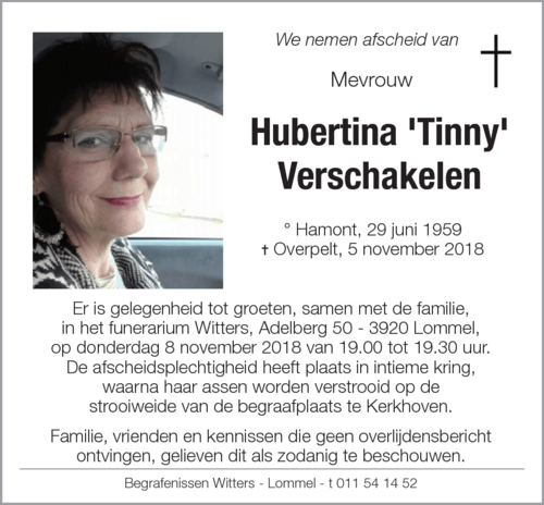 Tinny Verschakelen