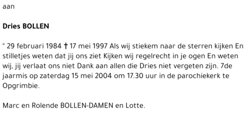 Dries Bollen