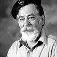 Nikolaos (Nikos) Tzamouranis