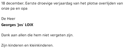 Georges Jos LOIX