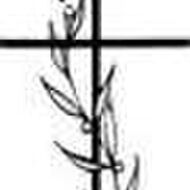 Theodora Veltmeijer-Vissers