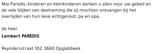 Lambert Paredis
