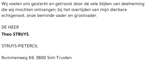Theo Struys