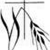 Martin(us Petrus) Volleberg