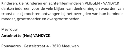 Antoinette (Net) Vandyck