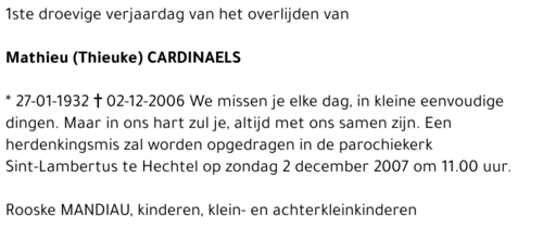 Mathieu (Thieuke) Cardinaels