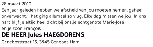 Jules Haegdorens
