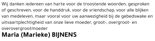 Maria (Marieke) Bijnens