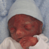 Dimitri-Alexander Csap-Faes