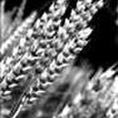 Marie-Thérèse FRANCOIS