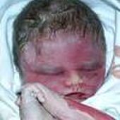 kenji janssen van damme