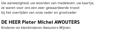 Pieter Michel Awouters