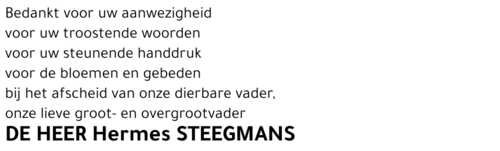 Hermes Steegmans