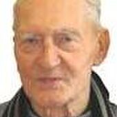 Julien VAN DEN MERGEL