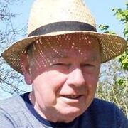 Willy VAN LIEFFERINGE