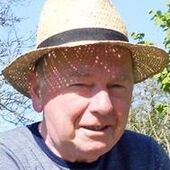 Willy VAN LIEFFERINGE