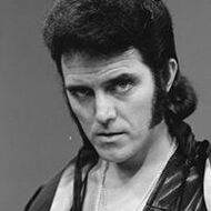 Alvin Stardust