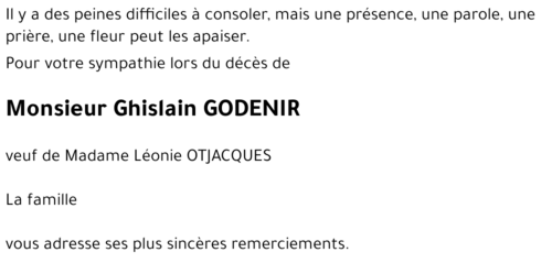 Ghislain GODENIR