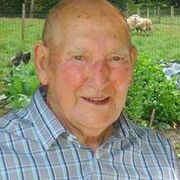 Basile Vanormelingen