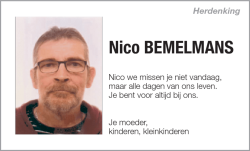 Nico Bemelmans