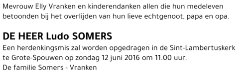 Ludo Somers