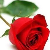 Madeleine LAFONTAINE