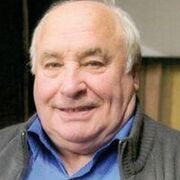 Albert Hendrik Damiaens