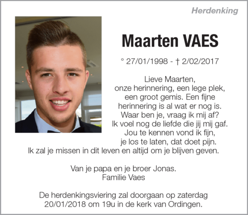 Maarten Vaes