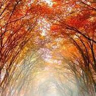 Marie-Berthe VALENTIN