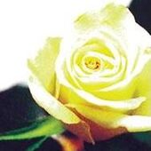 Marie-Thérèse JACOBY