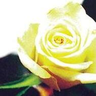 Marie-Thérèse JACOBY