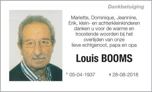 Louis Booms