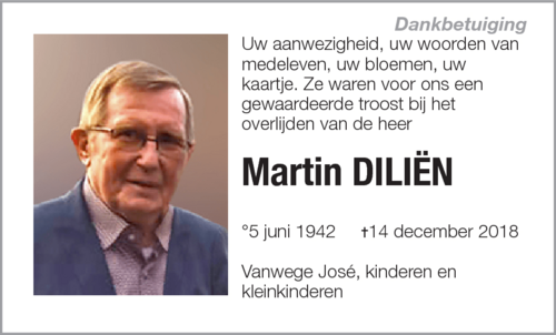 Martin Diliën