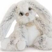 Stan Schouteden-Janssens