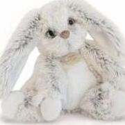 Stan Schouteden-Janssens