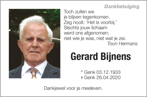 Gerard Bijnens