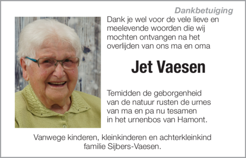 Jet Vaesen