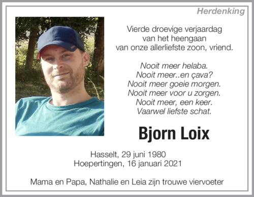 Bjorn Loix