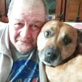 Dominique NACHTERGAEL