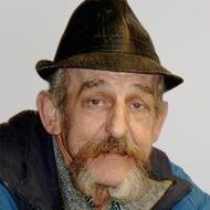 Godfried Pieter Joannes Vaesen