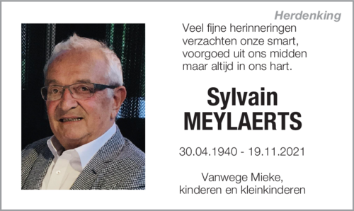 Sylvain Meylaerts