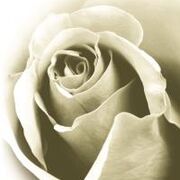 Marie-Louise Van Canneyt