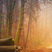 Mike -  Joren  -  Jonatan