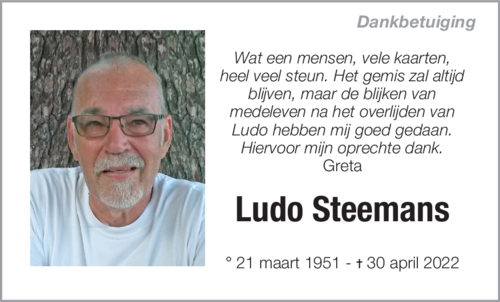 Ludo Steemans