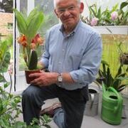 Alfred (Fred) Bellemans