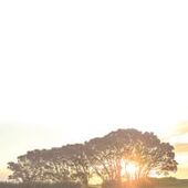 Adolf Vanderstraeten