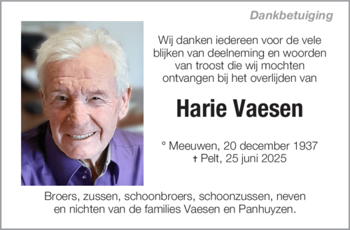 Harie Vaesen