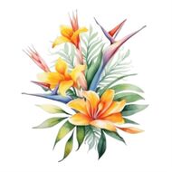 Anne Marie JACQUEMART